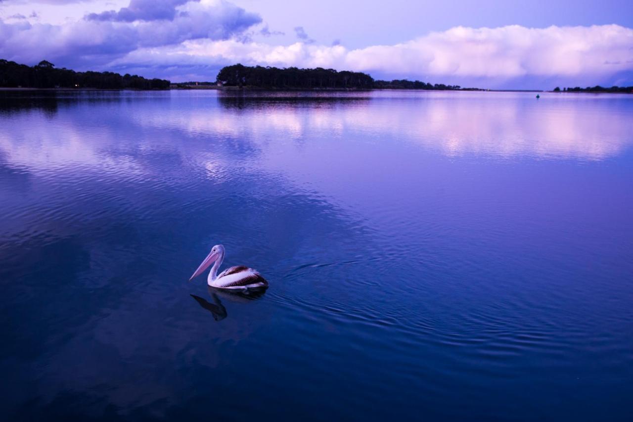 The Seabird Otel Moruya Dış mekan fotoğraf